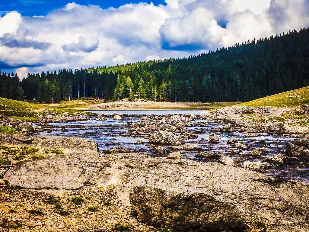 Chalet Hill Zabljak 객실 사진